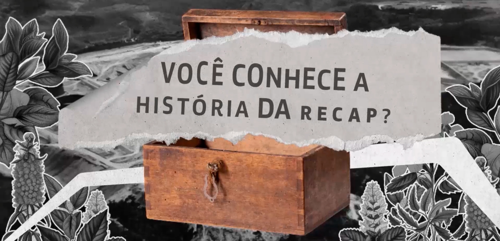 Animação 1